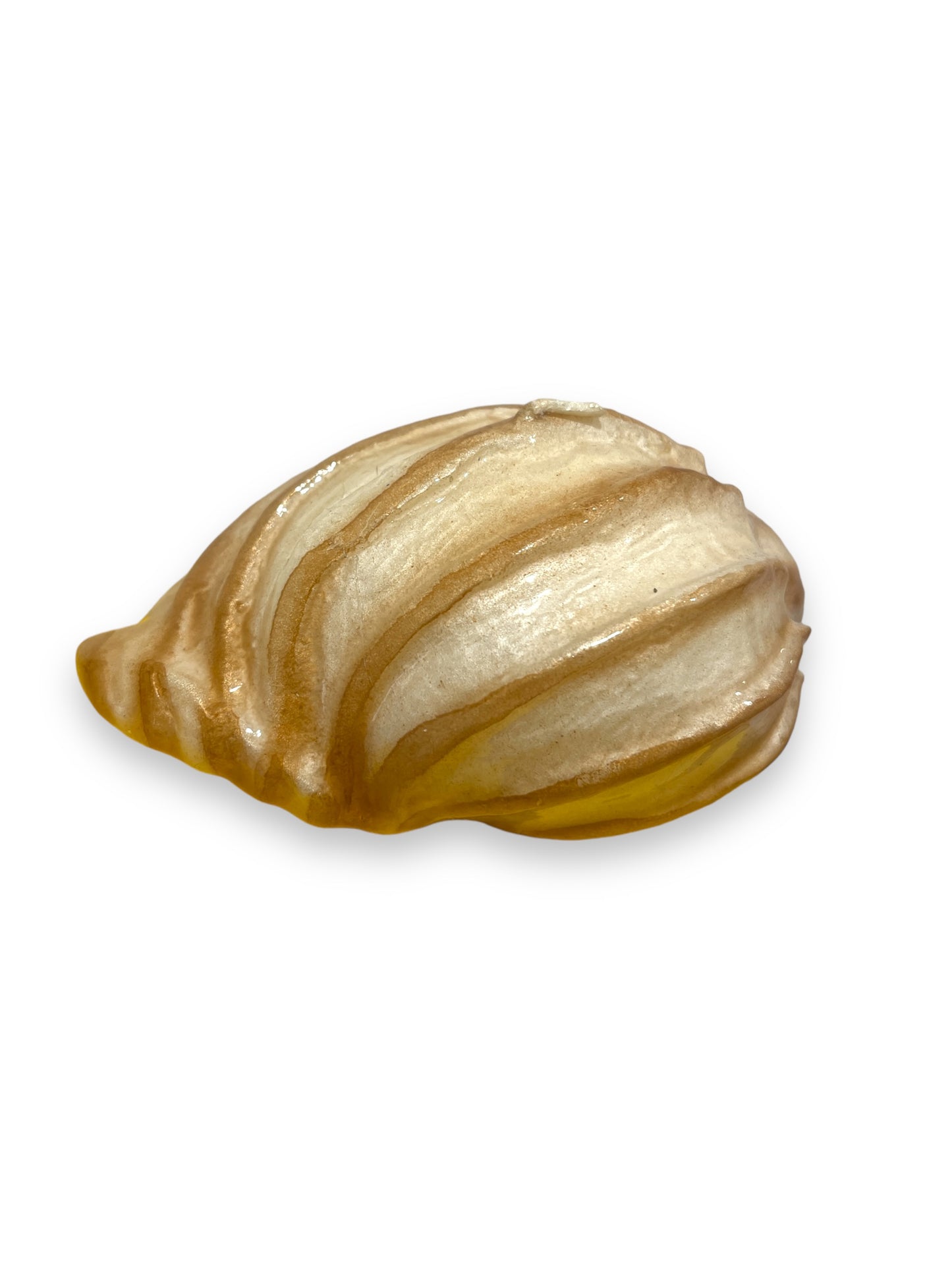 Conchiglia Sabbia d'oro